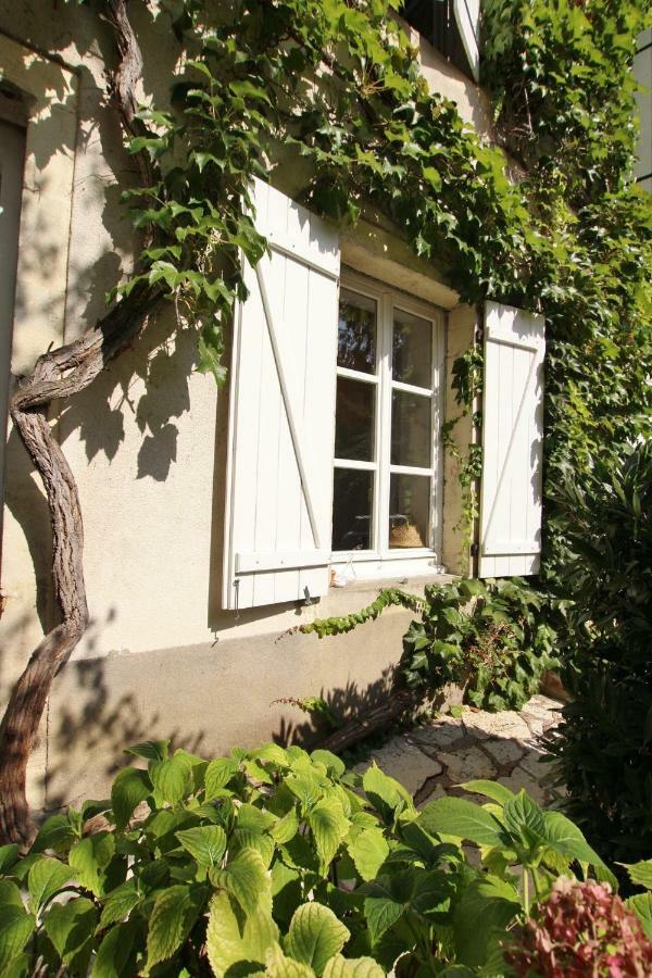 Villa Saint-Georges Vesoul Bagian luar foto
